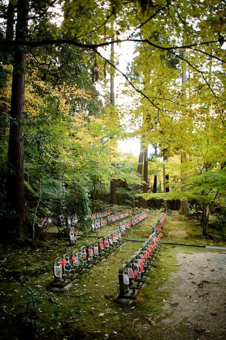 Clearing in the Woods -- Kongourinji Temple (金剛輪寺) -- Aisho, Shiga, Japan -- Copyright 2010 Jeffrey Friedl, http://regex.info/blog/