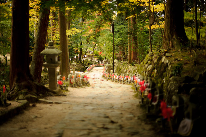 Looking Back Toward the Start of the Path -- Kongourinji Temple (金剛輪寺) -- Aisho, Shiga, Japan -- Copyright 2010 Jeffrey Friedl, http://regex.info/blog/