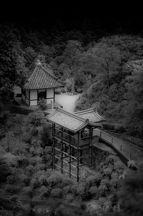 processing by Daniel Cutter -- Yoshiminedera Temple (善峯寺) -- Kyoto, Japan -- 