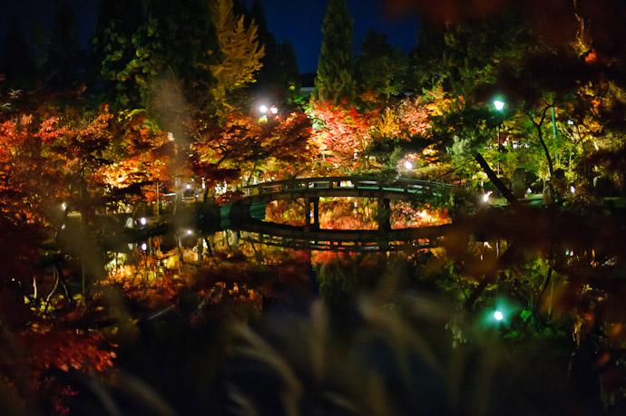 desktop background image of a nighttime view of an arched bridge over a still lake, among an explosion of fall colors, at the Eikando Temple in Kyoto, Japan -- Bridge and Lake behind an out-of-focus foreground of wispy white grass -- Eikando Temple (永観堂) -- Copyright 2010 Jeffrey Friedl, http://regex.info/blog/