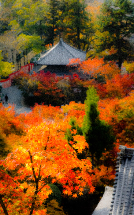 a styalized autumn scene at the Eikando Temple, Kyoto Japan