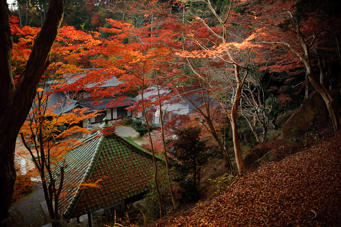 Today's Autumn-Festooned Temple Sokushouji Temple (息障寺) in-the-middle-of-nowhere, Japan -- Sokushouji Temple (息障寺) -- Koka, Shiga, Japan -- Copyright 2010 Jeffrey Friedl, http://regex.info/blog/