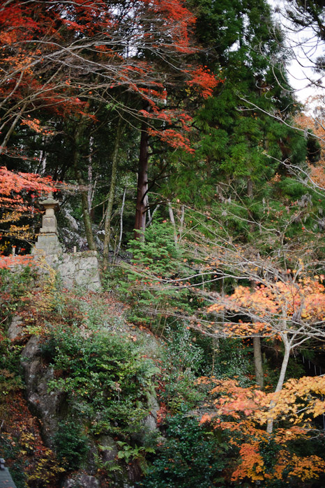 Layers -- Sokushouji Temple (息障寺) -- Koka, Shiga, Japan -- Copyright 2010 Jeffrey Friedl, http://regex.info/blog/