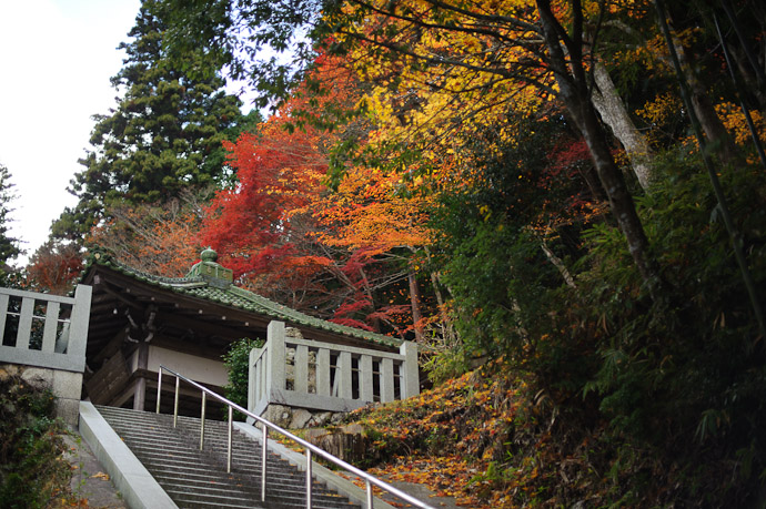 View from the Parking Lot Autumn colors, even past their peak, pique one's interest -- Sokushouji Temple (息障寺) -- Koka, Shiga, Japan -- Copyright 2010 Jeffrey Friedl, http://regex.info/blog/