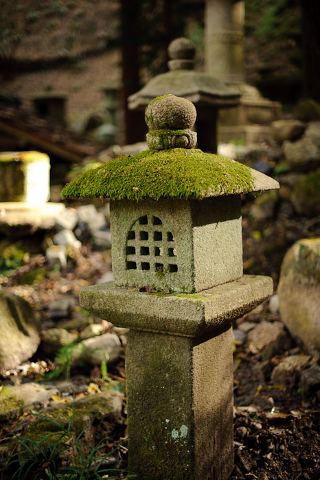 Moss: Wide View -- Nishimura Stonecarver's Garden -- Kyoto, Japan -- Copyright 2010 Jeffrey Friedl, http://regex.info/blog/