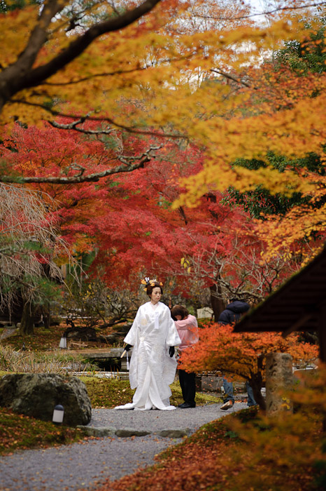 Let's Try This Spot -- Shouzan Gardens (しょうざん) -- Kyoto, Japan -- Copyright 2010 Jeffrey Friedl, http://regex.info/blog/
