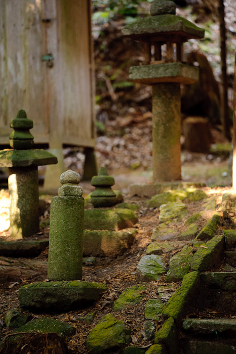 Seemingly Random -- Himuro Shrine (氷室神社) -- Kyoto, Japan -- Copyright 2010 Jeffrey Friedl, http://regex.info/blog/