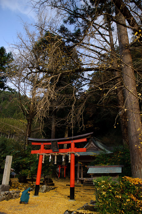 Iwato Ochiba Shrine (岩戸落葉神社) -- Kyoto, Japan -- Copyright 2010 Jeffrey Friedl, http://regex.info/blog/