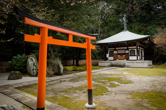 Shrine Gate, Temple Building -- Zenryuuji Temple and Inari Daimyou Shrine (善龍寺、稲荷大明神社) -- Kyoto, Japan -- Copyright 2011 Jeffrey Friedl, http://regex.info/blog/