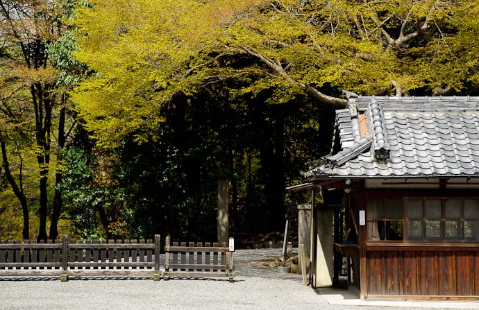 desktop background image of side entrance to the Sennyuji Temple (泉涌寺), Kyoto Japan, under an impressive maple -- Sennyuji Temple (泉涌寺) -- Copyright 2011 Jeffrey Friedl, http://regex.info/blog/