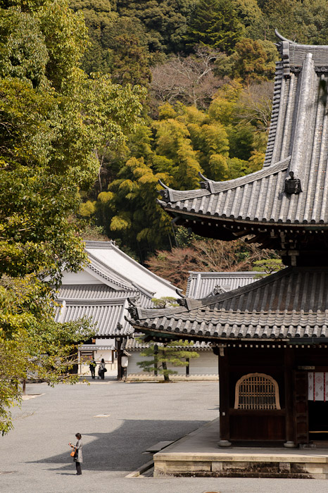 Checking the Map -- Sennyuji Temple (泉涌寺) -- Kyoto, Japan -- Copyright 2011 Jeffrey Friedl, http://regex.info/blog/