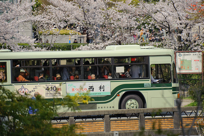 Ultra-Packed Bus sitting in ultra-packed traffic -- Kyoto, Japan -- Copyright 2011 Jeffrey Friedl, http://regex.info/blog/