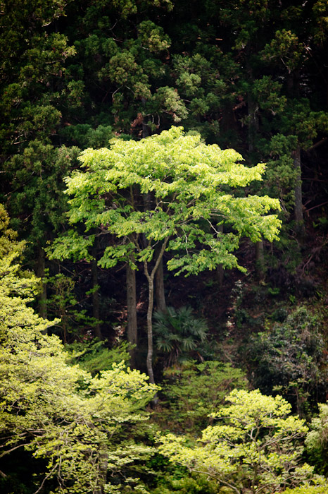 Aridagawa, Wakayama, Japan -- Copyright 2011 Jeffrey Friedl, http://regex.info/blog/
