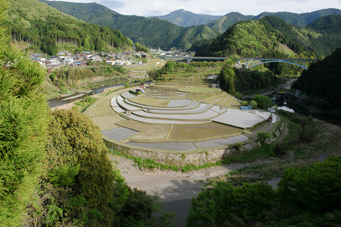 Standard Aragishima Shot -- Aragijima Rice Terraces (蘭島) -- Aridagawa, Wakayama, Japan -- Copyright 2011 Jeffrey Friedl, http://regex.info/blog/
