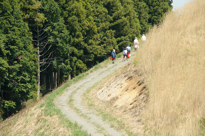 Heading Deeper into the Mountains -- Oishi Kougen (生石高原) -- Kaisougun, Wakayama, Japan -- Copyright 2011 Jeffrey Friedl, http://regex.info/blog/