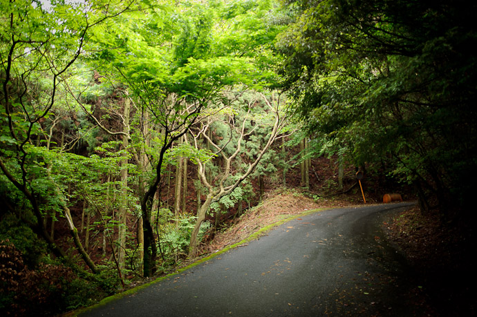 desktop background image of a mountain-road scene in Uji, Japan -- Eerily Bright -- Uji, Kyoto, Japan -- Copyright 2011 Jeffrey Friedl, http://regex.info/blog/