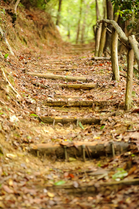 Steps -- Uji, Kyoto, Japan -- Copyright 2011 Jeffrey Friedl, http://regex.info/blog/