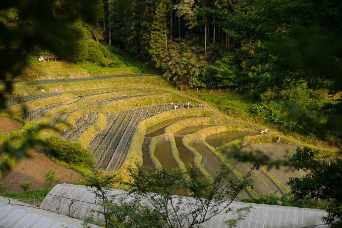 Lotsa' Layers -- Uji, Kyoto, Japan -- Copyright 2011 Jeffrey Friedl, http://regex.info/blog/