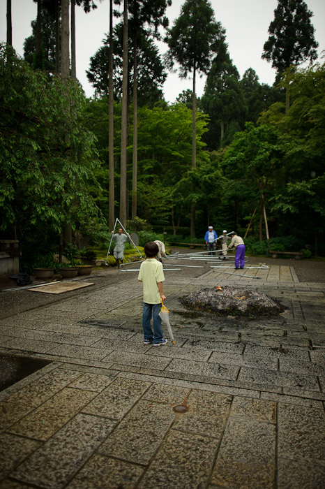 More Interesting Than Nature -- Sanzen-in Temple (三千院) -- Kyoto, Japan -- Copyright 2011 Jeffrey Friedl, http://regex.info/blog/