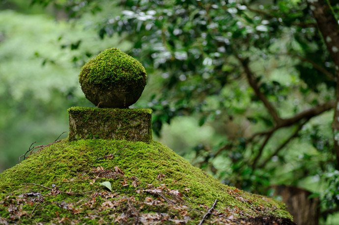 Shimyouin Temple (志明院) -- Kyoto, Japan -- Copyright 2011 Jeffrey Friedl, http://regex.info/blog/