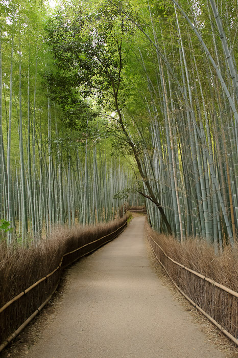 Manufacturing the Moment making it look like no one's there Vertical Desktop-Background Versions 1050 &times; 1680 &nbsp;&nbsp;&middot;&nbsp;&nbsp; 1200 &times; 1920 &nbsp;&nbsp;&middot;&nbsp;&nbsp; 1600 &times; 2560 -- Arashiyama (嵐山) -- Kyoto, Japan -- Copyright 2011 Jeffrey Friedl, http://regex.info/blog/