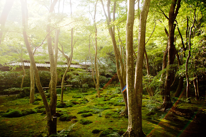 desktop background image of the garden in Kyoto Arashyama -- Giouji Temple (祇王寺) -- Kyoto, Japan -- Copyright 2011 Jeffrey Friedl, http://regex.info/blog/