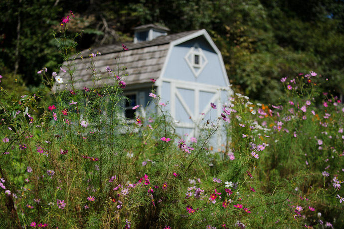 Little Blue Barn Not common in Japan -- Ikoma, Nara, Japan -- Copyright 2011 Jeffrey Friedl, http://regex.info/blog/