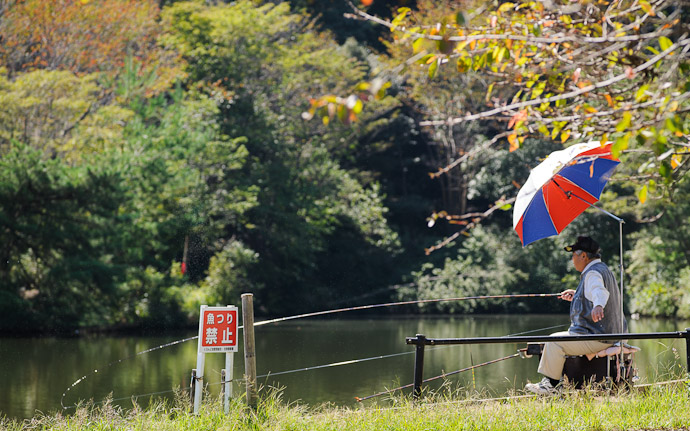 of a pretty scene in Japan