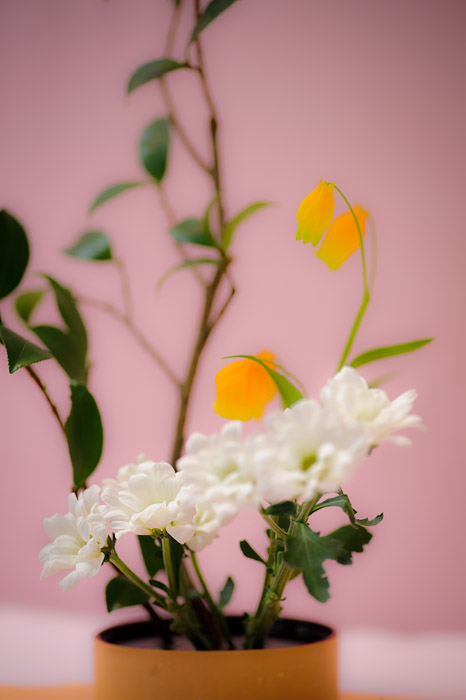 detail of a child's ikebana arrangement, at a show in Kyoto Japan