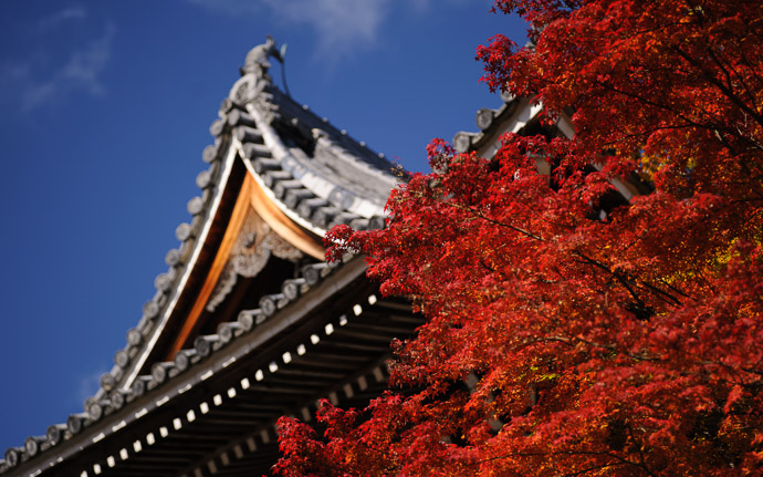 desktop background image of fall colors at the Yoshiminedera Temple (善峯寺), Kyoto Japan  --  View from the parking lot  --  Yoshiminedera Temple (善峯寺)  --  Copyright 2011 Jeffrey Friedl, http://regex.info/blog/