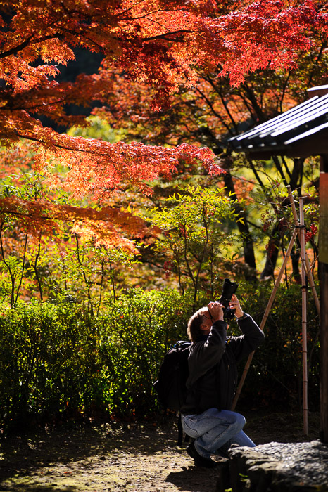 Paul Barr being Paul Barr  --  Yoshiminedera Temple (善峯寺)  --  Kyoto, Japan  --  Copyright 2011 Jeffrey Friedl, http://regex.info/blog/