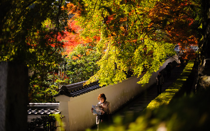 desktop background image of fall colors at the Yoshiminedera Temple (善峯寺), Kyoto Japan  --  Lost  --  Yoshiminedera Temple (善峯寺)  --  Copyright 2011 Jeffrey Friedl, http://regex.info/blog/