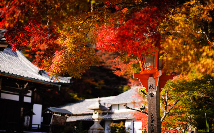 desktop background image of fall colors at the Yoshiminedera Temple (善峯寺), Kyoto Japan  --  Lightpost  --  Yoshiminedera Temple (善峯寺)  --  Copyright 2011 Jeffrey Friedl, http://regex.info/blog/
