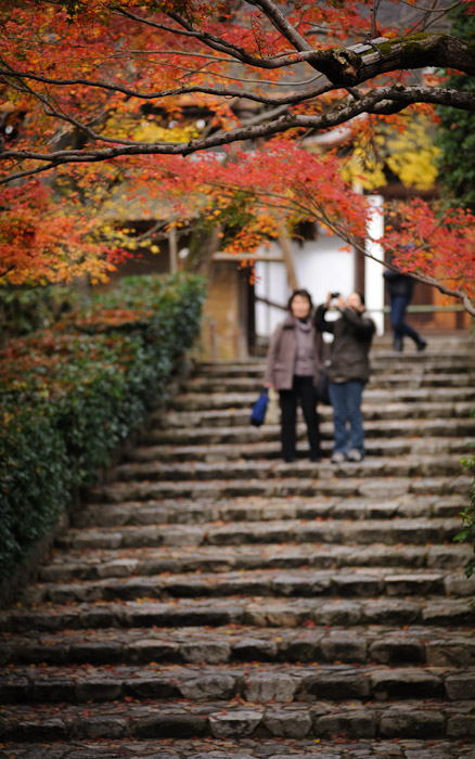 a fall-folliage scene from the Ryoanji Temple (龍安寺), Kyoto Japan