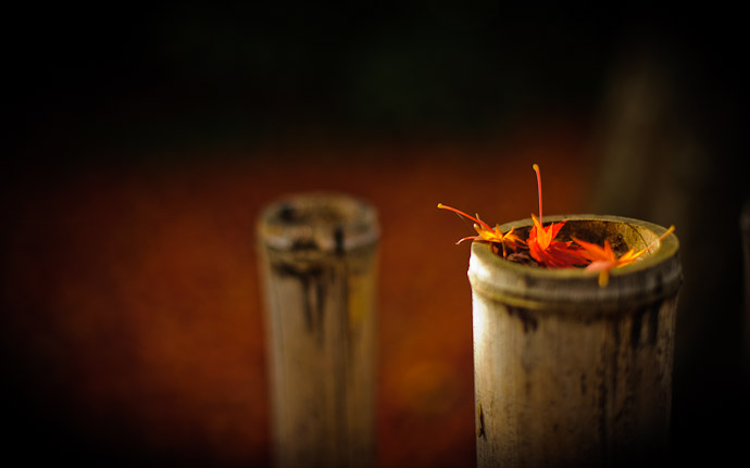 a leaf-capped bamboo fence post outside the Ryouanji Temple (龍安寺) in Kyoto, Japan