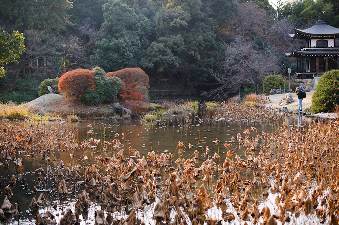 ¼ Around The Lake  --  Kajyuuji Temple (勧修寺)  --  Kyoto, Japan  --  Copyright 2011 Jeffrey Friedl, http://regex.info/blog/
