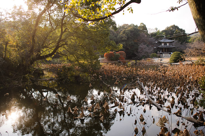Kajyuuji Temple (勧修寺)  --  Kyoto, Japan  --  Copyright 2011 Jeffrey Friedl, http://regex.info/blog/