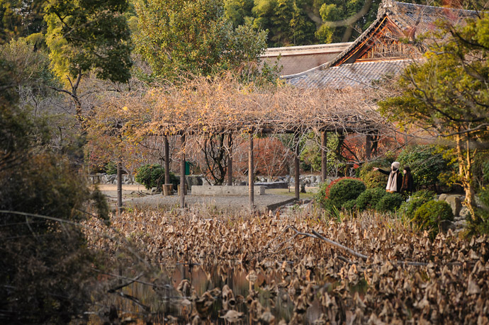 Other Visitors  --  Kajyuuji Temple (勧修寺)  --  Kyoto, Japan  --  Copyright 2011 Jeffrey Friedl, http://regex.info/blog/
