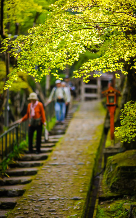 desktop background image of a scene at the Otagi Nenbutsuji Temple (愛宕念仏寺) -- Otaginenbutsuji Temple (愛宕念仏寺) -- Kyoto, Japan -- Copyright 2012 Jeffrey Friedl, http://regex.info/blog/ -- This photo is licensed to the public under the Creative Commons Attribution-NonCommercial 4.0 International License http://creativecommons.org/licenses/by-nc/4.0/ (non-commercial use is freely allowed if proper attribution is given, including a link back to this page on http://regex.info/ when used online)
