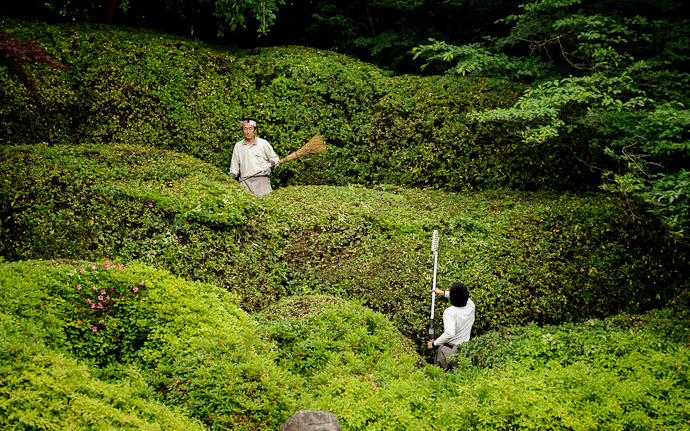 Teamwork  --  Koumyou-in Temple (光明院)  --  Kyoto, Japan  --  Copyright 2012 Jeffrey Friedl, http://regex.info/blog/