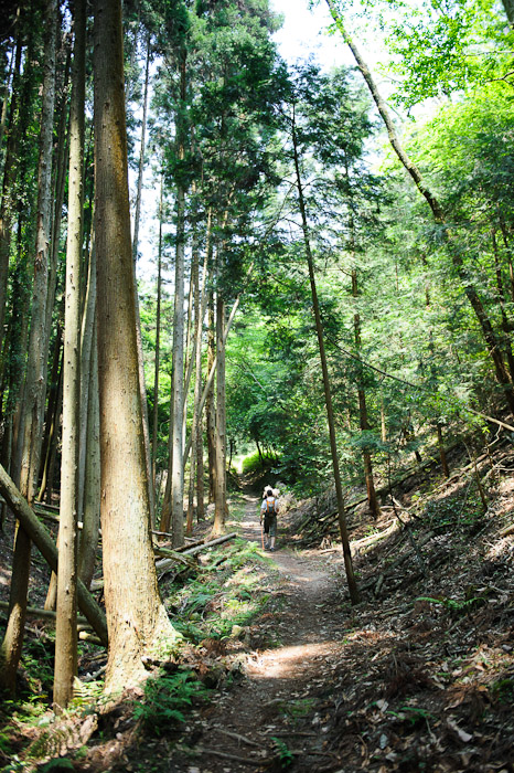 Steep Slope  --  Kyoto, Japan  --  Copyright 2012 Jeffrey Friedl, http://regex.info/blog/