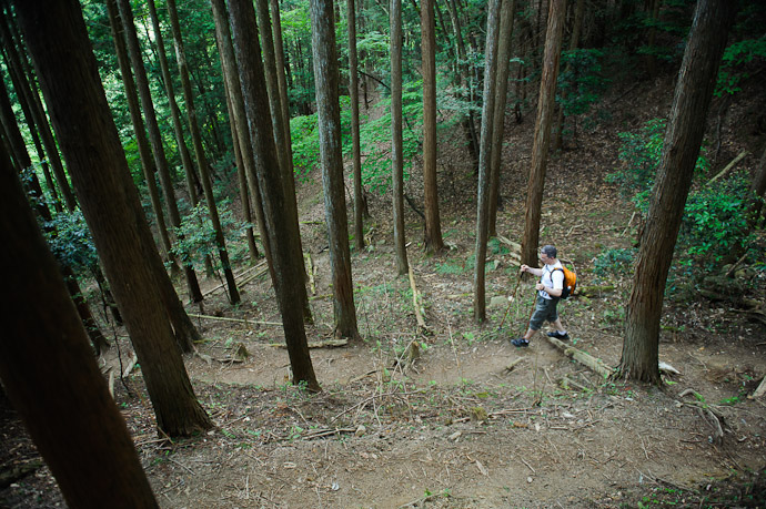 Heading Down To Go Up the next half hour was steep ups and downs  --  Kyoto, Japan  --  Copyright 2012 Jeffrey Friedl, http://regex.info/blog/