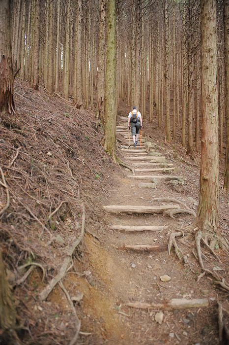 Neverending unrelenting upslope  --  Kyoto, Japan  --  Copyright 2012 Jeffrey Friedl, http://regex.info/blog/