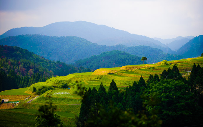 desktop background image of tiered rice fields and mountain vistas, in the mountains of northwest Kyoto, Japan  --  Layer Upon Layer mountains of northwest Kyoto, Japan  --  Copyright 2012 Jeffrey Friedl, http://regex.info/blog/