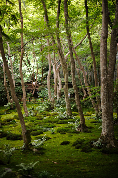 Gioji Temple (祇王寺)  --  Kyoto, Japan  --  Copyright 2012 Jeffrey Friedl, http://regex.info/blog/