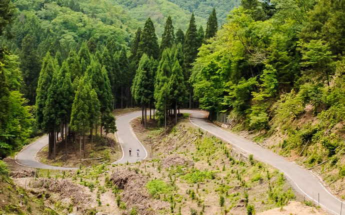 desktop background image of two bicycle riders on a twisty mountain road in Kyoto, Japan -- Solitude is not quite as nice as a good riding companion -- Nantan, Kyoto, Japan -- Copyright 2015 Jeffrey Friedl, http://regex.info/blog/ -- This photo is licensed to the public under the Creative Commons Attribution-NonCommercial 4.0 International License http://creativecommons.org/licenses/by-nc/4.0/ (non-commercial use is freely allowed if proper attribution is given, including a link back to this page on http://regex.info/ when used online)