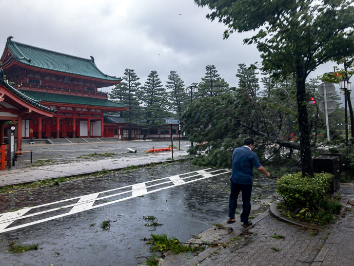 In Front of the Heian Shrine a tree fell across the road -- Heian Shrine (平安神宮) -- Kyoto, Japan -- Copyright 2018 Jeffrey Friedl, http://regex.info/blog/