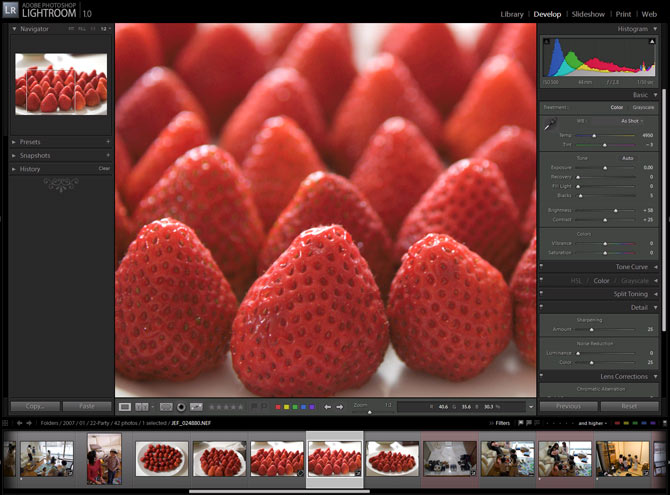 Adobe Lightroom 1.0, Develop Module in Action