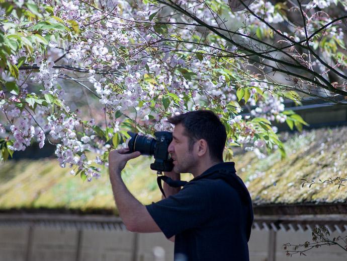 Futzing With the Polarizer Filter Why can't Nikon design a lens hood that incorporates access to a filter? They must all be idiots! photo by Nicolas Joannin  --  Kyoto, Japan  --  Copyright 2012 Nicolas Joannin, https://plus.google.com/u/0/116578079434506112628