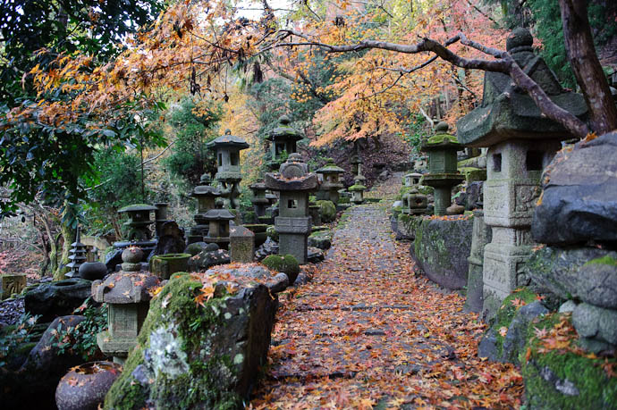 n1392() -- Nishimura Stone Lanterns -- Kyoto, Japan -- Copyright 2009 Paul Barr